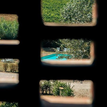 Fienile Panoramico Nel Chianti Villa Greve in Chianti Exteriör bild