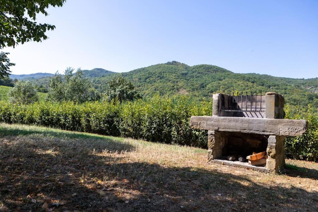 Fienile Panoramico Nel Chianti Villa Greve in Chianti Exteriör bild